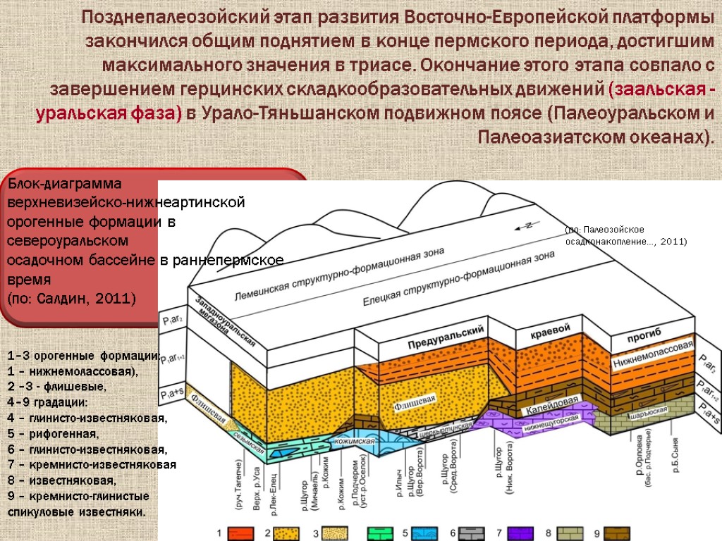 Позднепалеозойский этап развития Восточно-Европейской платформы закончился общим поднятием в конце пермского периода, достигшим максимального